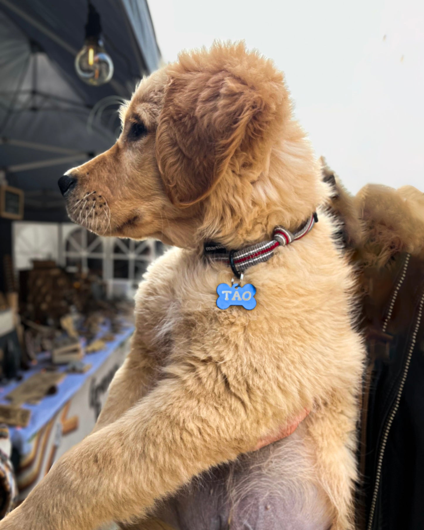 Médaille personnalisée "Os"